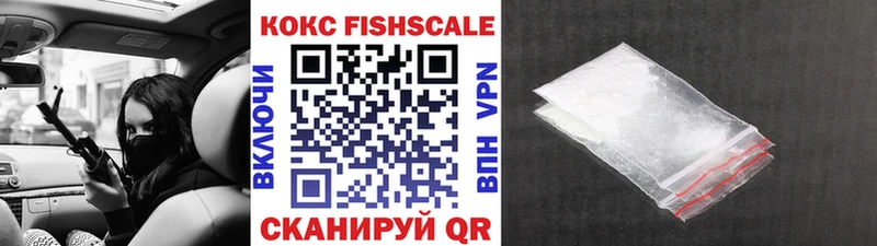 купить закладку  Краснознаменск  COCAIN Fish Scale 