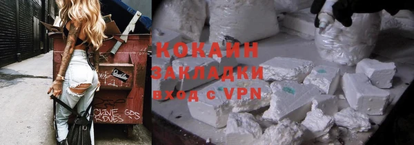 прущие грибы Горняк