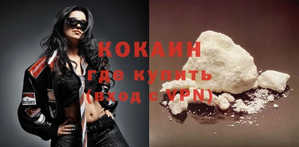 прущие грибы Горняк