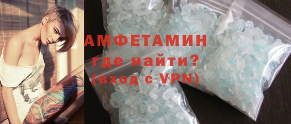 прущие грибы Горняк
