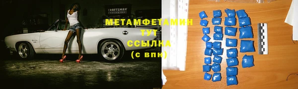 прущие грибы Горняк