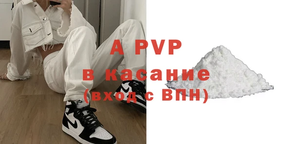 прущие грибы Горняк
