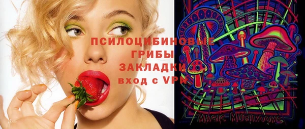 ешки Горнозаводск