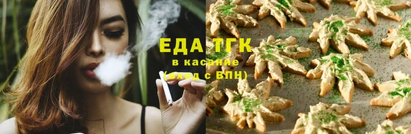 прущие грибы Горняк