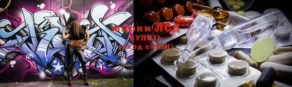 прущие грибы Горняк